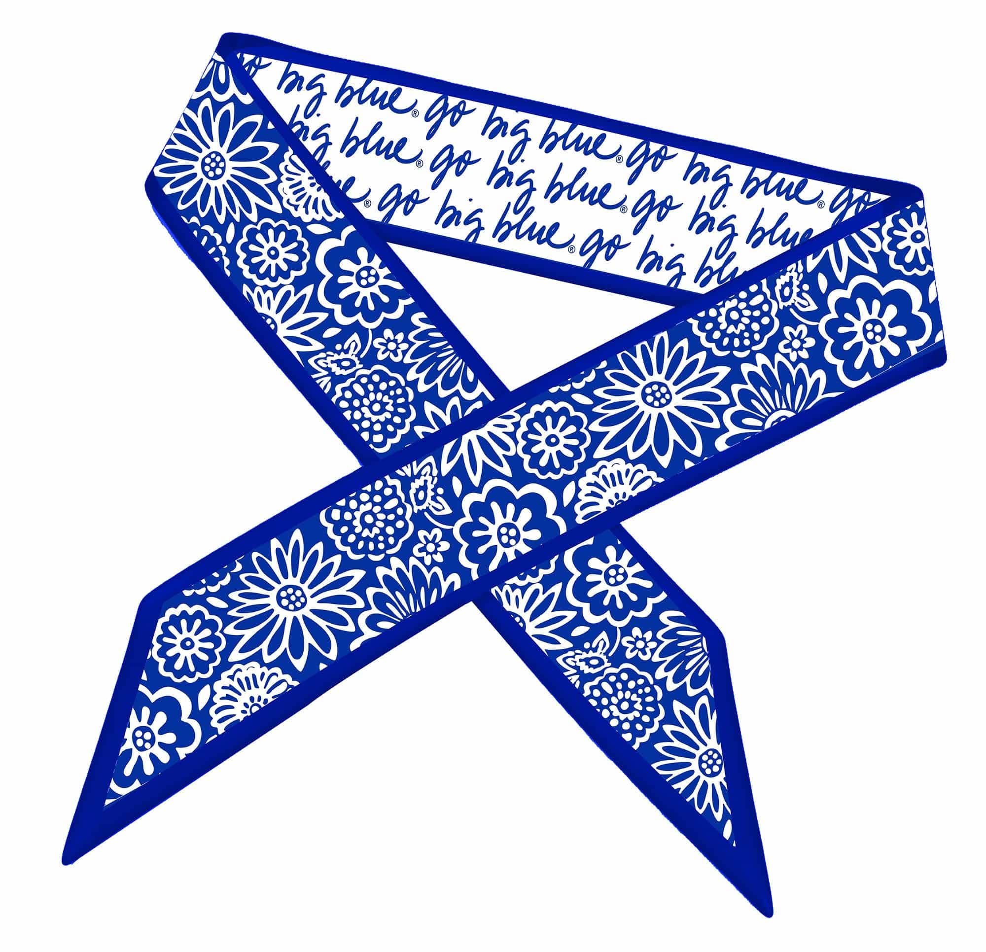Skinny Scarf– Kentucky Wildcats