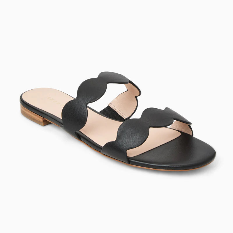 Greglen Slide- Black