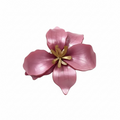 Brooches