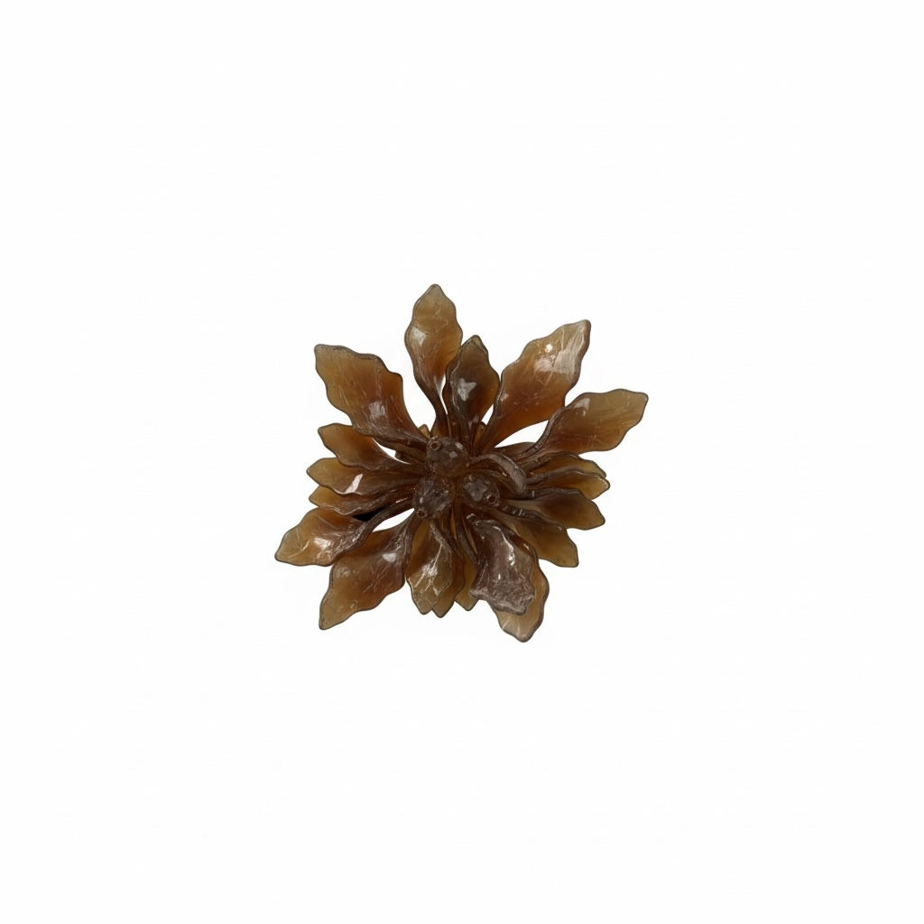 Assorted Brooches