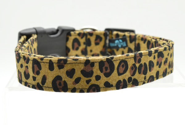 Assorted Dog Collars