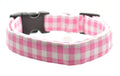 Assorted Dog Collars