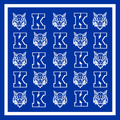 Gameday Bandana Scarf- Royal Blue